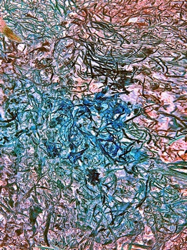 AP 155A